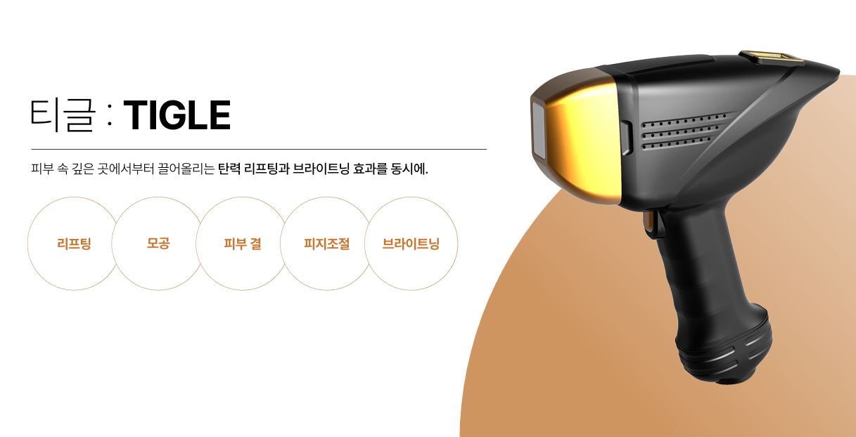 티글 TIGLE 핸드피스